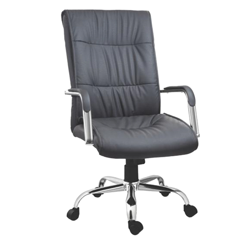 Director Chair